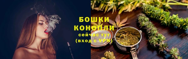 мдпв Вяземский
