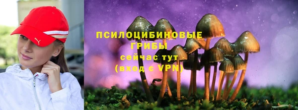 прущие грибы Горнозаводск