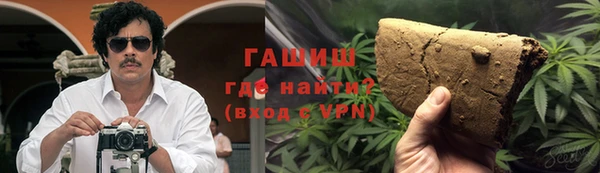 мдпв Вяземский