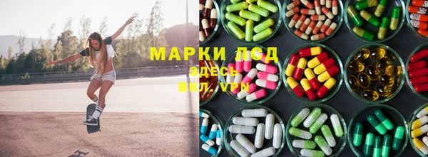 прущие грибы Горнозаводск