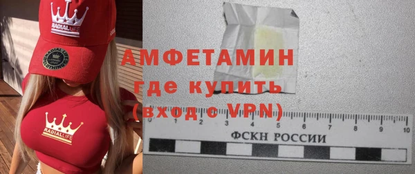 мдпв Вяземский