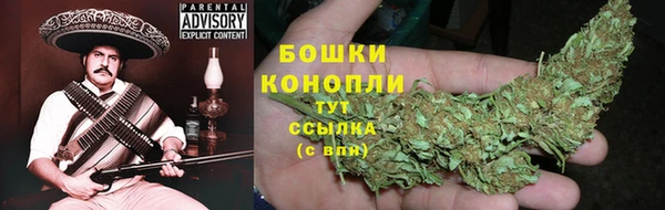 мдпв Вяземский