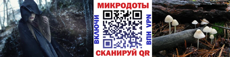 Псилоцибиновые грибы MAGIC MUSHROOMS  сколько стоит  Звенигово 